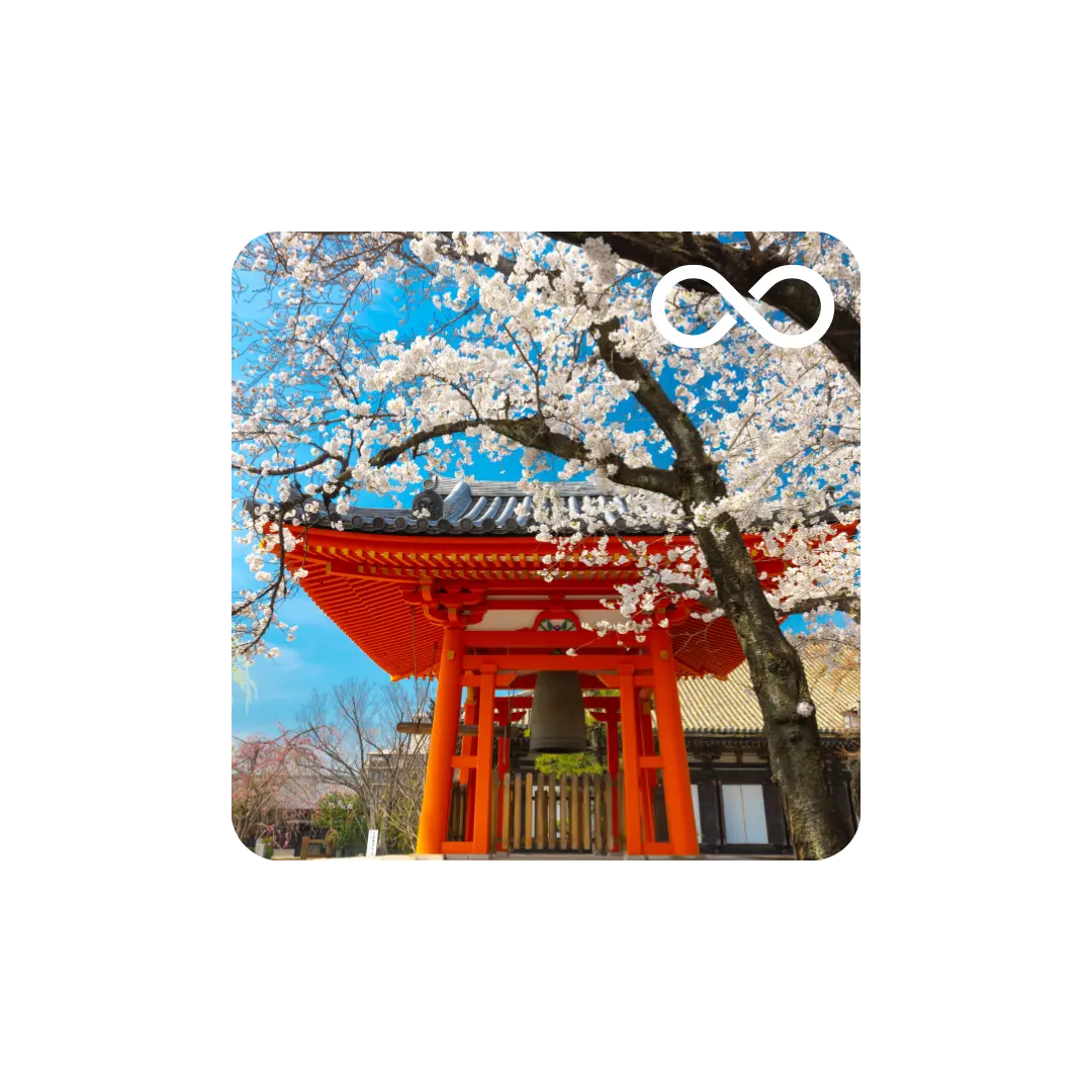 Japan Unlimited Plan RTG